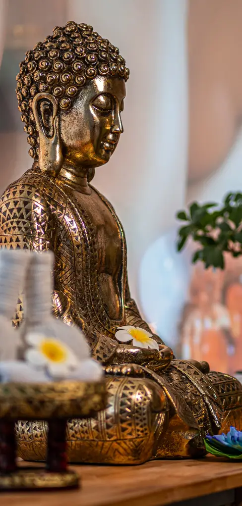 buddha thai-massage-gift